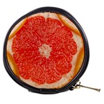 Grapefruit-fruit-background-food Mini Makeup Bag