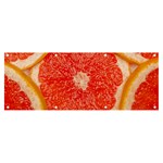 Grapefruit-fruit-background-food Banner and Sign 8  x 3 