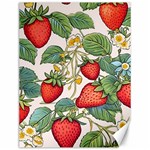 Strawberry-fruits Canvas 12  x 16 