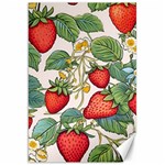 Strawberry-fruits Canvas 20  x 30 