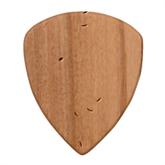 Spring Art Floral Pattern Design Wood Guitar Pick (Set of 10) from ZippyPress Front