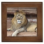 Lion Framed Tile