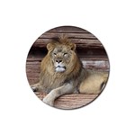 Lion Rubber Round Coaster (4 pack)