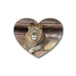 Lion Rubber Coaster (Heart)