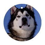 Alaskan Malamute Dog Ornament (Round)