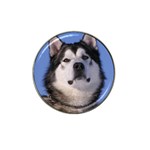 Alaskan Malamute Dog Hat Clip Ball Marker (10 pack)