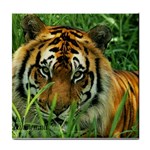 Tiger Tile Coaster