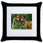 Tiger Throw Pillow Case (Black)