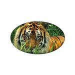 Tiger Sticker (Oval)