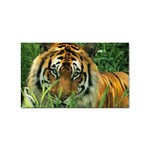 Tiger Sticker (Rectangular)