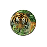 Tiger Hat Clip Ball Marker (4 pack)