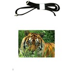 Tiger Shoulder Sling Bag