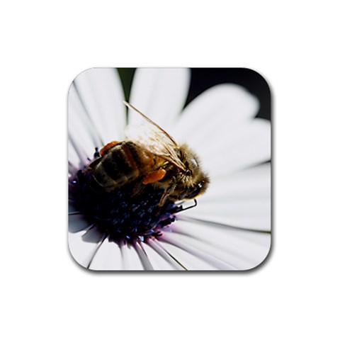 Bee on a Daisy Rubber Coaster (Square) from ZippyPress Front
