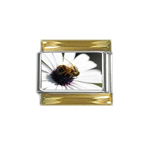 Bee on a Daisy Gold Trim Italian Charm (9mm) from ZippyPress Front