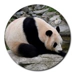Giant Panda Round Mousepad