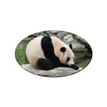Giant Panda Sticker Oval (10 pack)