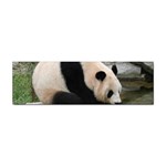 Giant Panda Sticker Bumper (10 pack)