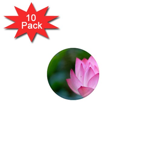 Red Pink Flower 1  Mini Magnet (10 pack)  from ZippyPress Front