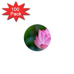 Red Pink Flower 1  Mini Magnet (100 pack) 