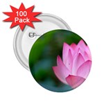 Red Pink Flower 2.25  Button (100 pack)