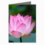 Red Pink Flower Greeting Cards (Pkg of 8)