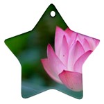 Pink Flowers Ornament (Star)