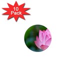 Pink Flowers 1  Mini Magnet (10 pack) 