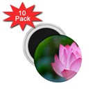 Pink Flowers 1.75  Magnet (10 pack) 