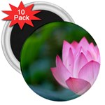 Pink Flowers 3  Magnet (10 pack)