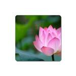 Pink Flowers Magnet (Square)