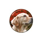 dog-photo cute Hat Clip Ball Marker (4 pack)