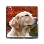 dog-photo cute Memory Card Reader with Storage (Square)