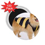 My-Dog-Photo 2.25  Magnet (100 pack) 