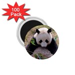Big Panda 1.75  Magnet (100 pack) 