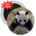 Big Panda 3  Magnet (100 pack)
