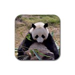 Big Panda Rubber Coaster (Square)