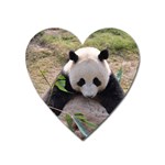 Big Panda Magnet (Heart)