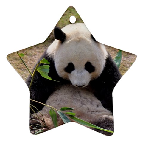 Big Panda Star Ornament (Two Sides) from ZippyPress Front