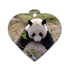 Big Panda Dog Tag Heart (Two Sides) from ZippyPress Front