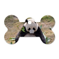 Big Panda Dog Tag Bone (Two Sides) from ZippyPress Front