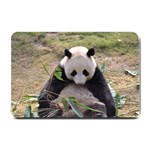 Big Panda Small Doormat