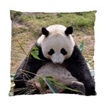 Big Panda Cushion Case (One Side)