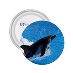 Swimming Dolphin 2.25  Button