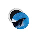 Swimming Dolphin 1.75  Magnet