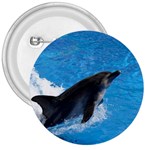 Swimming Dolphin 3  Button