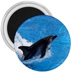Swimming Dolphin 3  Magnet