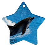Swimming Dolphin Ornament (Star)
