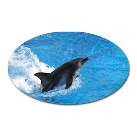 Swimming Dolphin Magnet (Oval) from ZippyPress Front