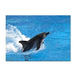 Swimming Dolphin Sticker A4 (10 pack)