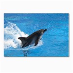 Swimming Dolphin Postcards 5  x 7  (Pkg of 10)